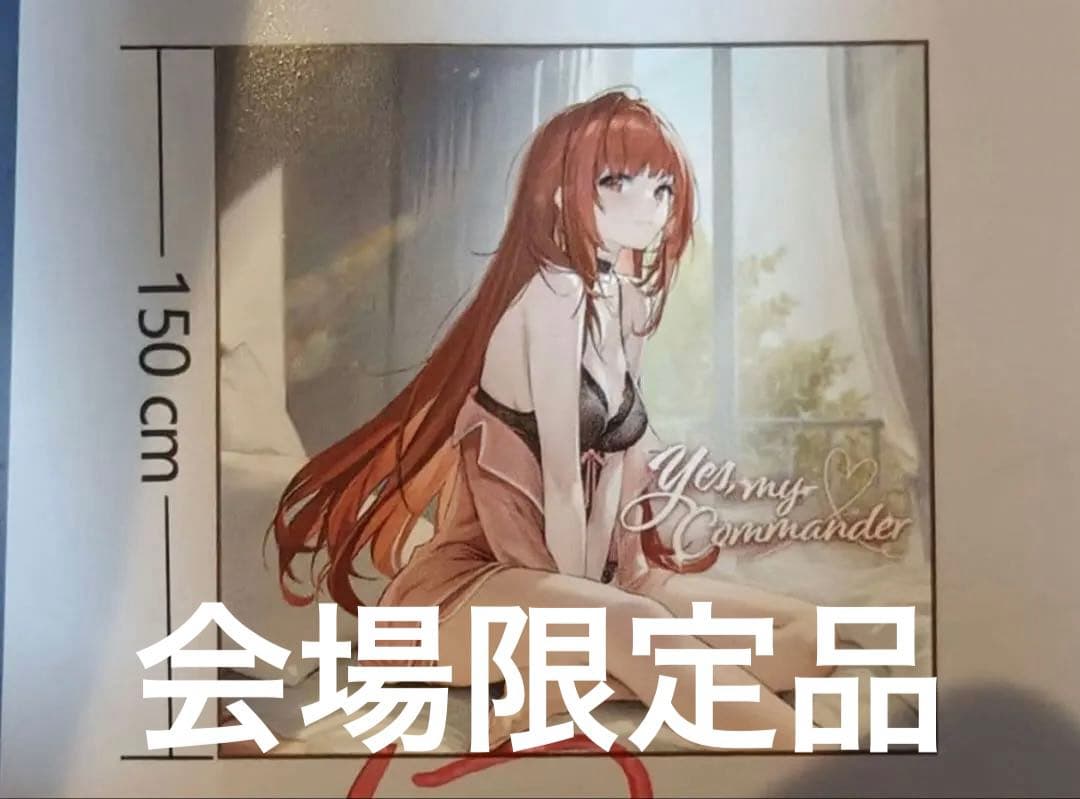 コミケ 冬コミ c107 NIKKE ブランケット　ラピレッドフード