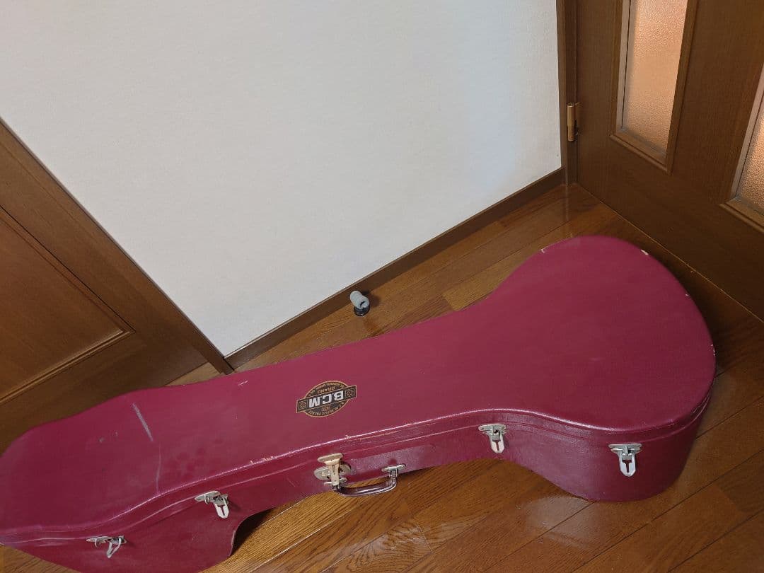 シタール ケース付き