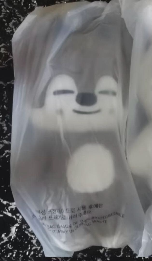 スキズ skzoo テディベア バンチャン ウルフチャン