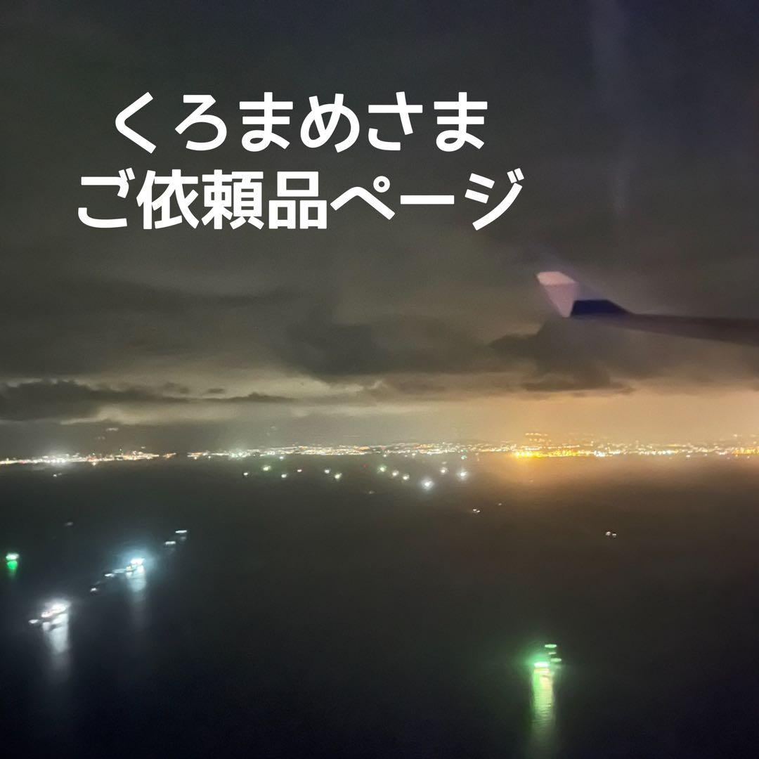 天井照明 Saturn2/CSA シーリングライト E26オプションLED電球付