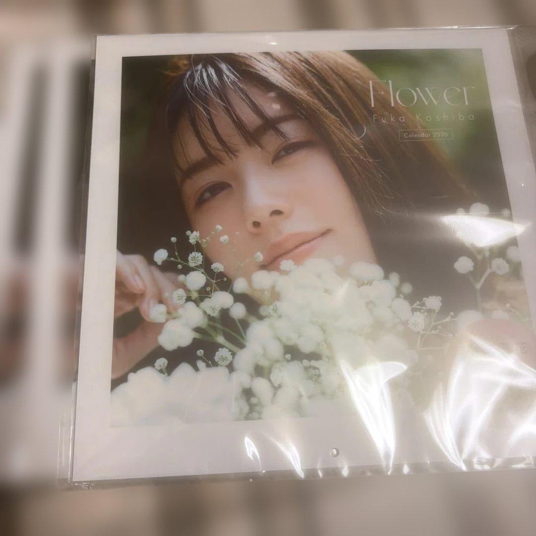 小芝風花 直筆サインチェキ 2026 カレンダー 3冊セット 未開封品