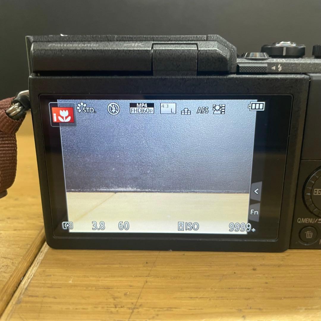 動作品 Panasonic LUMIX DC-GF90 12-32mm