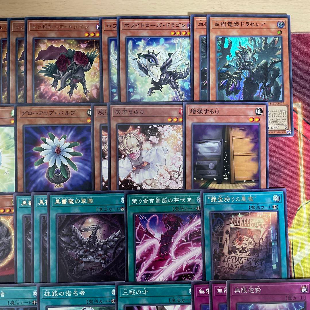 大会優勝構築 アザミナローズドラゴンデッキ レッドローズドラゴン 黒薔薇の破滅竜