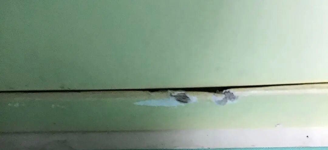 ペリカン万年筆