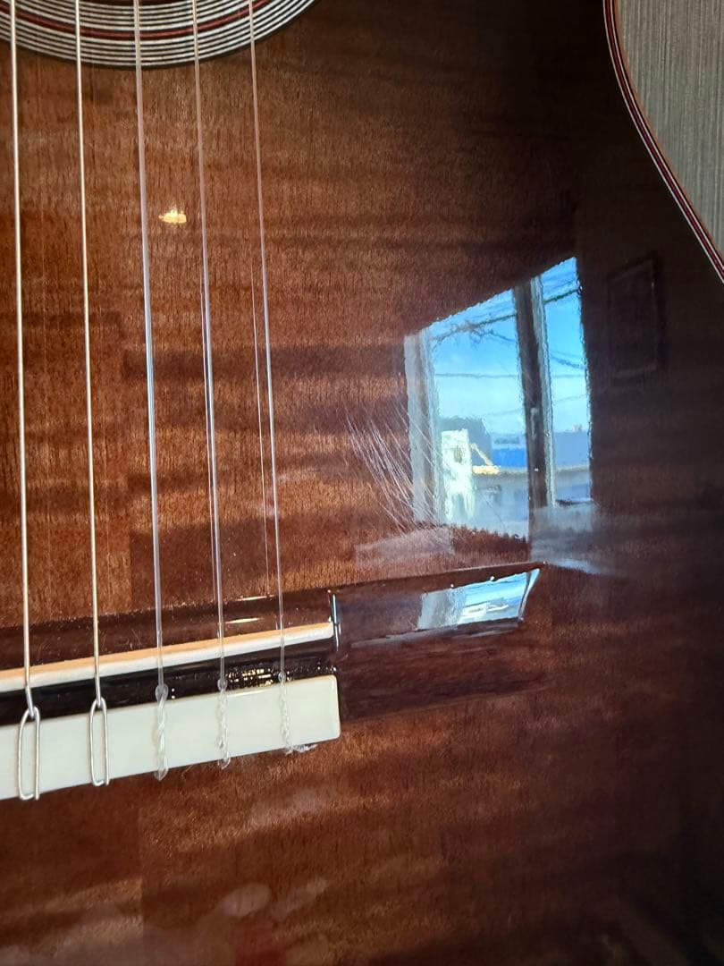 Cordoba Fusion 12 シナモン・バースト《エレガットギター》