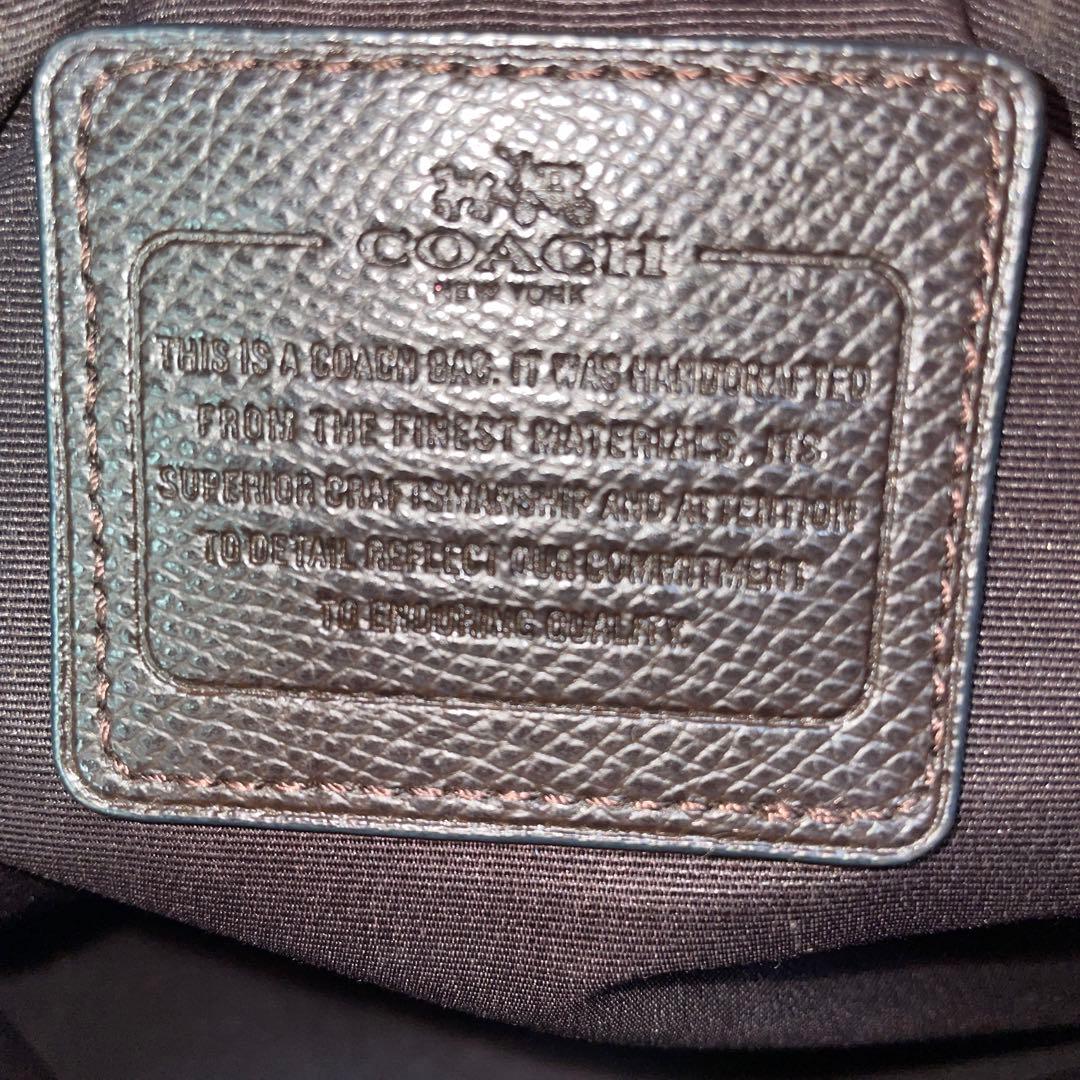 【美品】COACHコーチ ショルダーバッグ パイソン柄 レザー