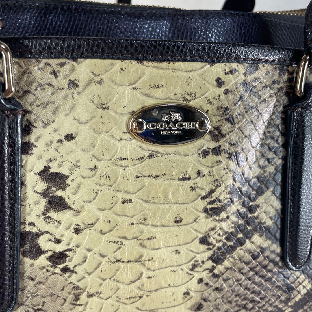 【美品】COACHコーチ ショルダーバッグ パイソン柄 レザー
