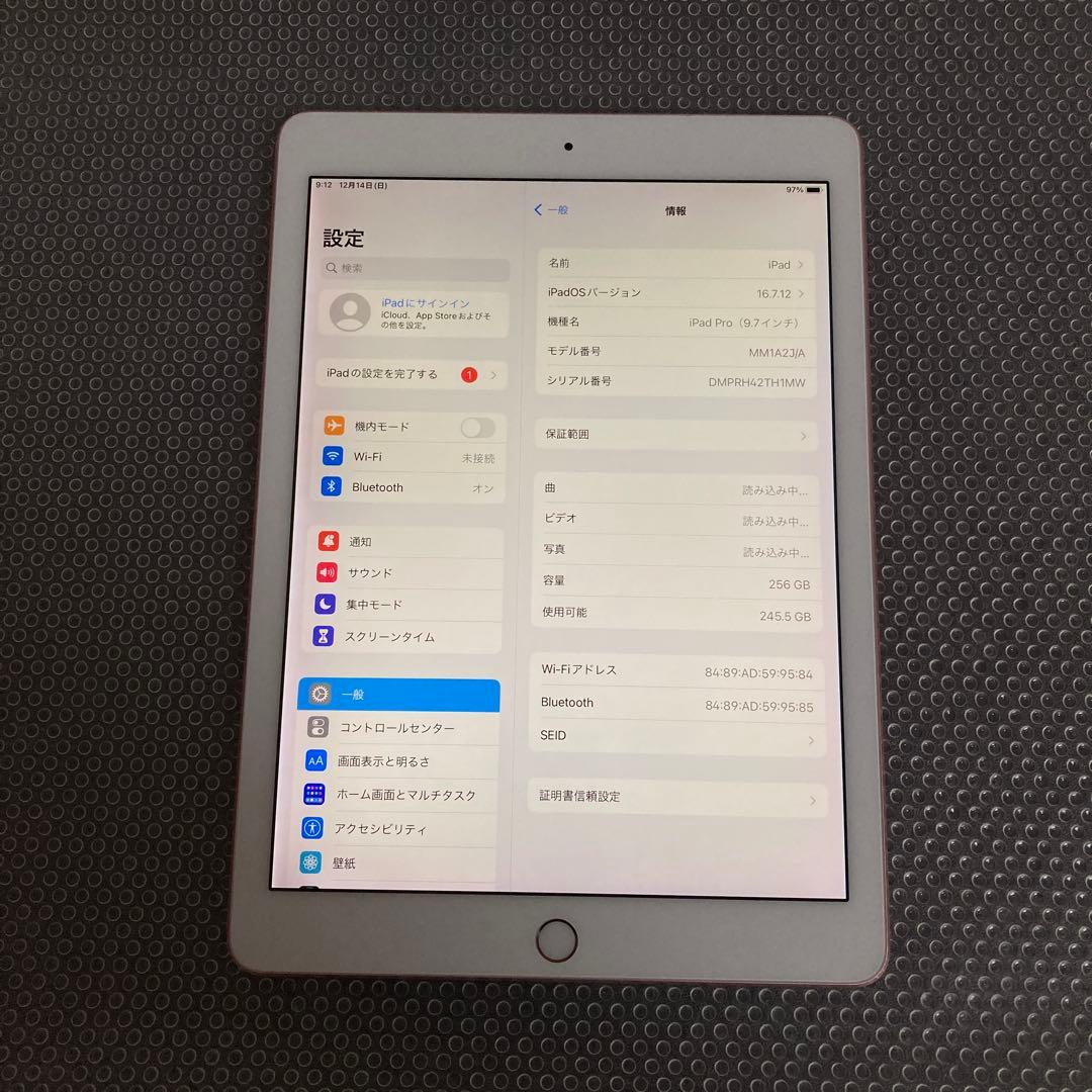 3763【早い者勝ち】電池最良好☆iPad Pro 256GB 9.7インチ☆