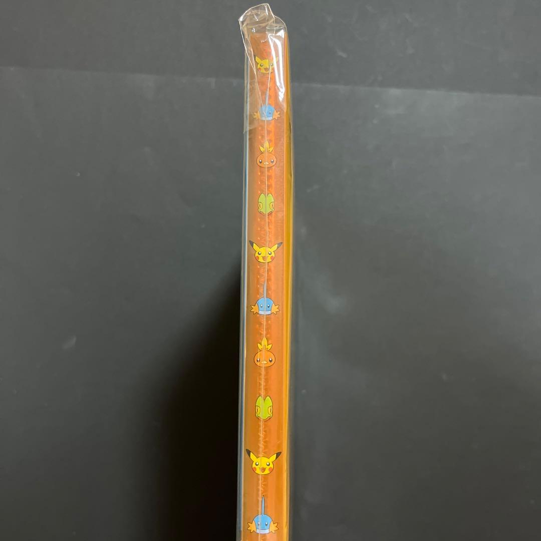 【2004年製】ポケモンセンター限定 A4クリアホルダー ホウエン御三家