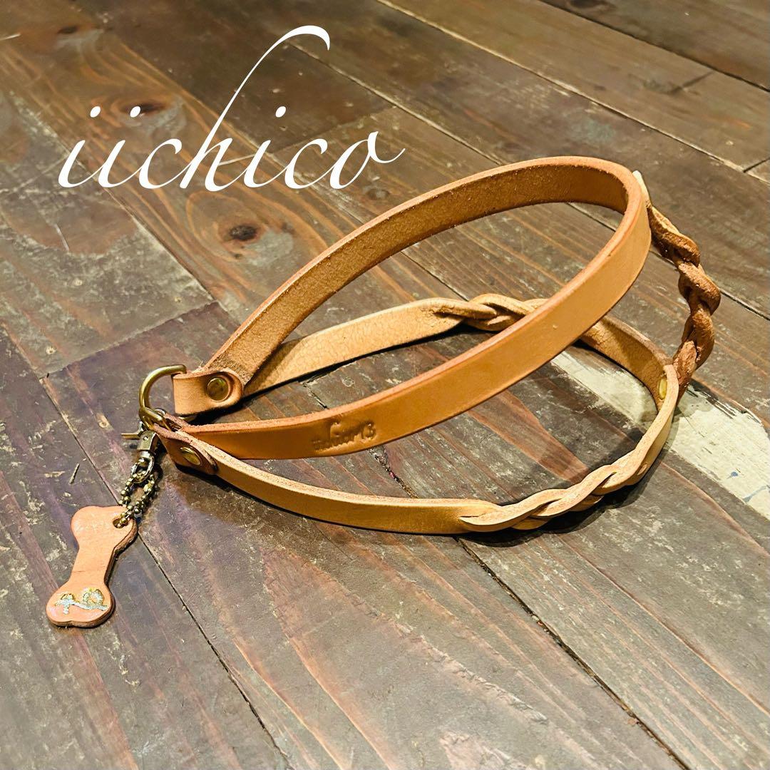 リード＆ハーネス2点SET❗️レッドミニタリー