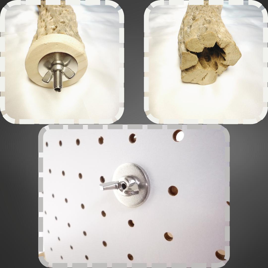 R　止まり木　カクタス　スケルトン　パーチおまとめ5本