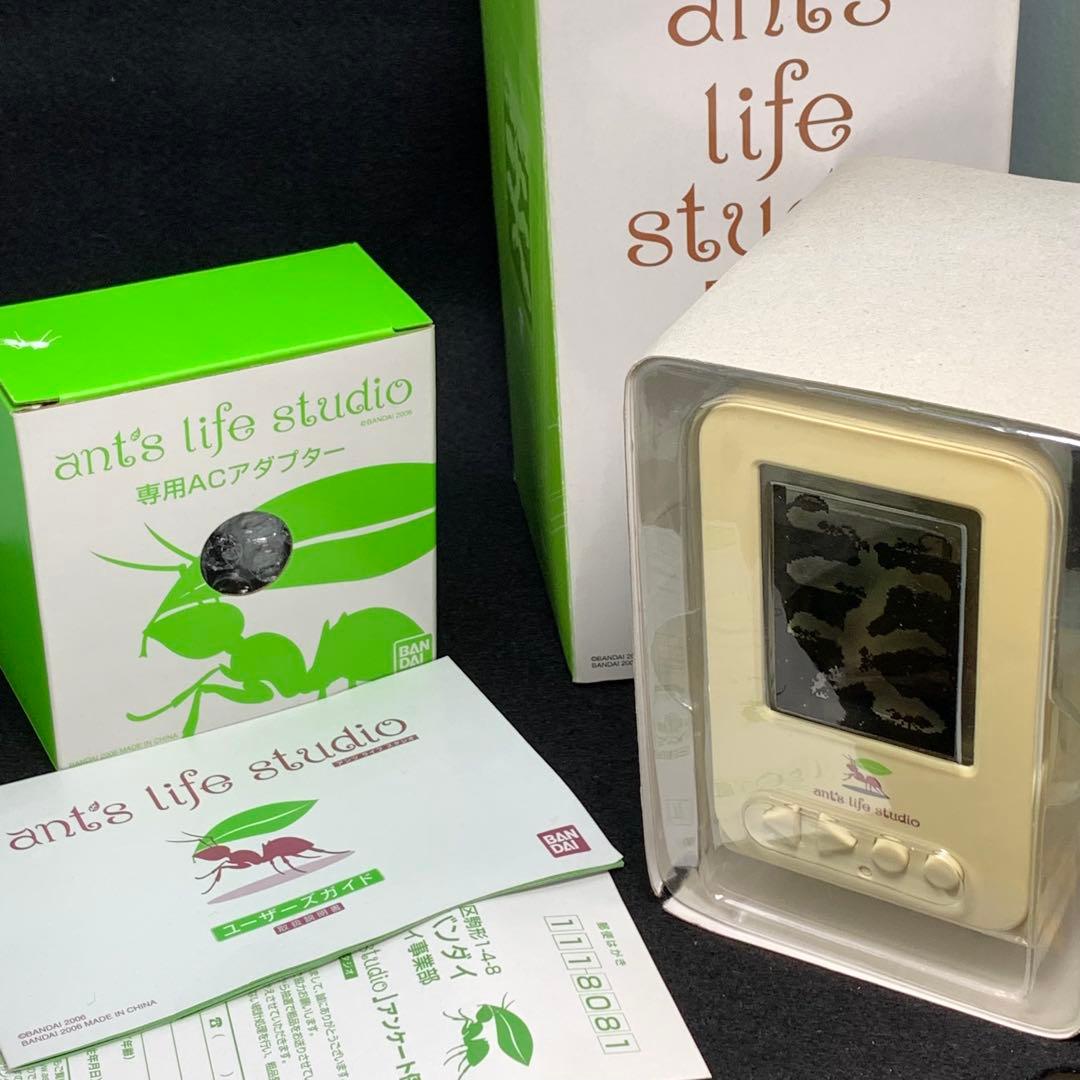 【専用】アンツ ライフ スタジオ ant's life studio