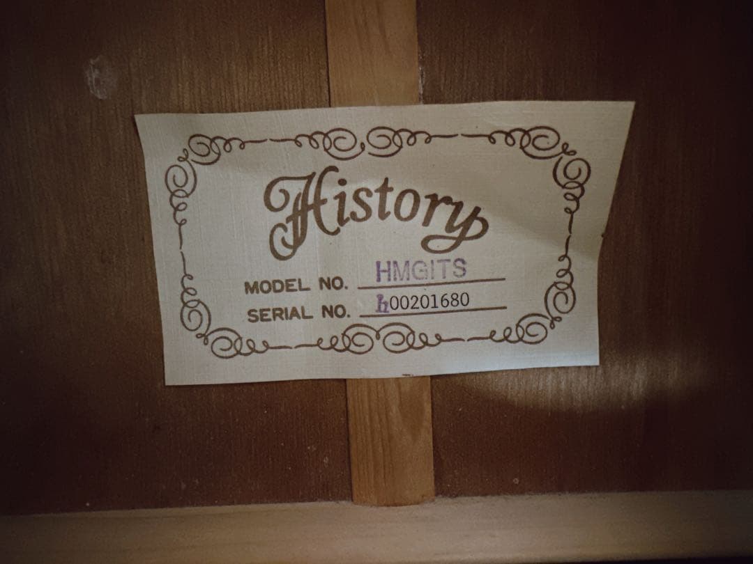 HISTORY ヒストリー　アコースティックギター　HMGITS