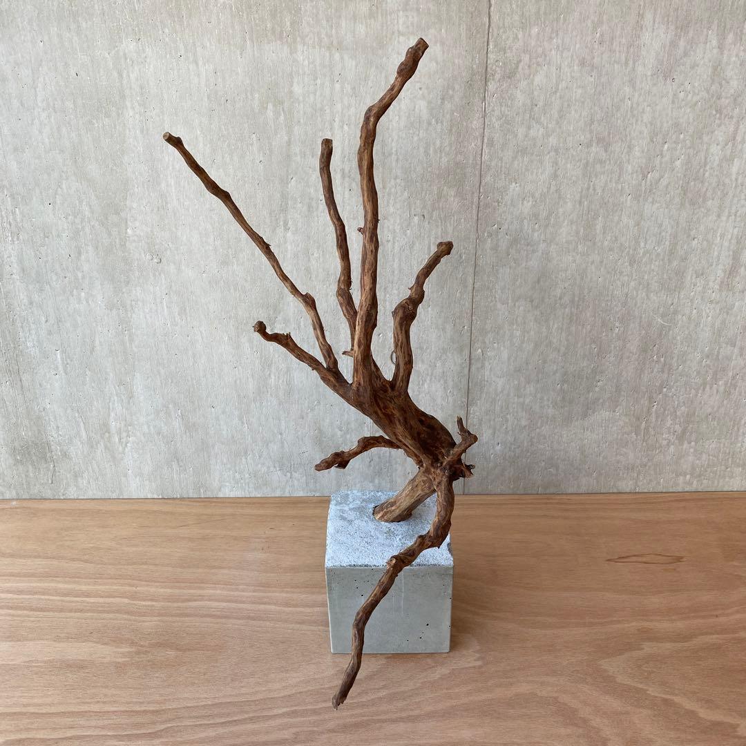 ❹【コンクリート盆栽 流木オブジェ】アクセサリー インテリア アート 爬虫類