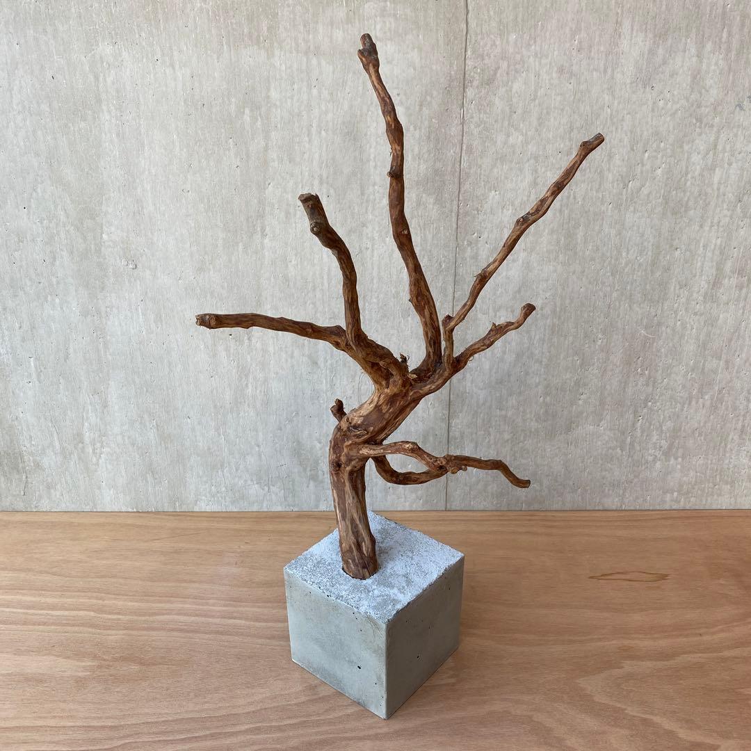 ❹【コンクリート盆栽 流木オブジェ】アクセサリー インテリア アート 爬虫類