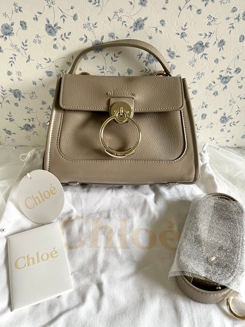 ＊美品＊クロエ Chloe テス ミニデイバッグ ショルダーバッグ