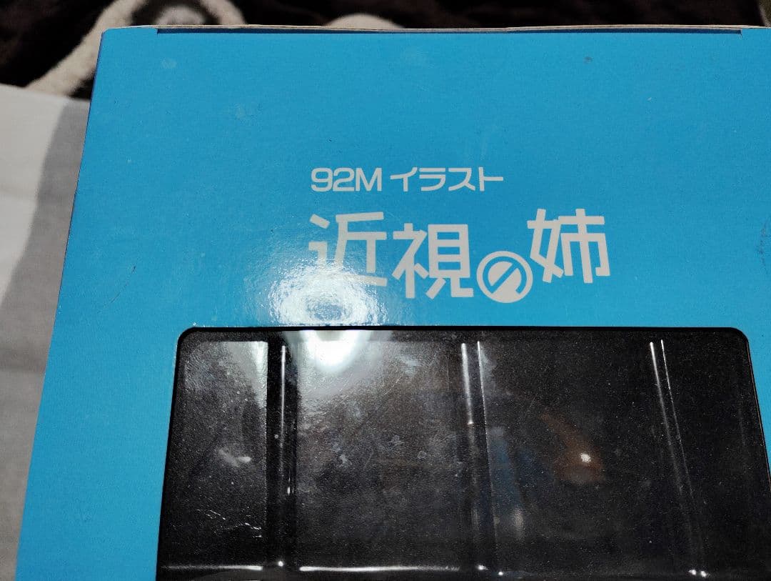 近視の姉 イラスト 水着フィギュア未開封新品