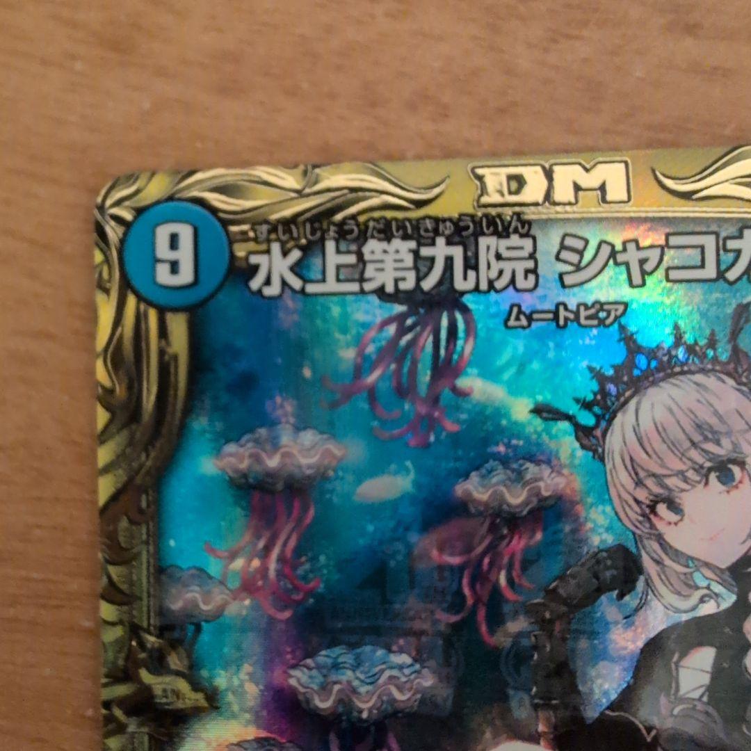 翌日発送 水上第九院シャコガイル 20th b メルカリ便