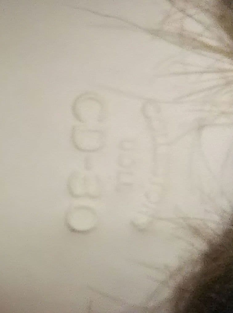 コレクターズ*ドール