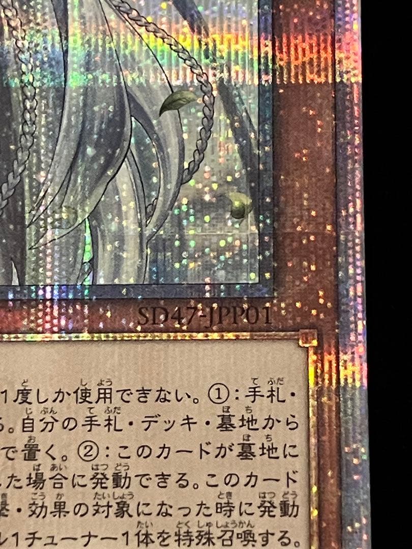 【遊戯王】白き乙女 25th シークレット クォーターシークレット※画像確認