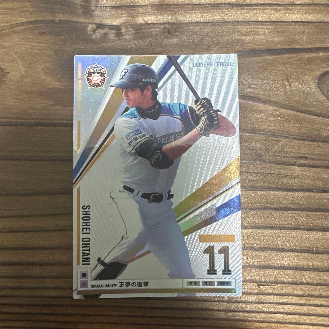 大谷翔平 オーナーズリーグ2013