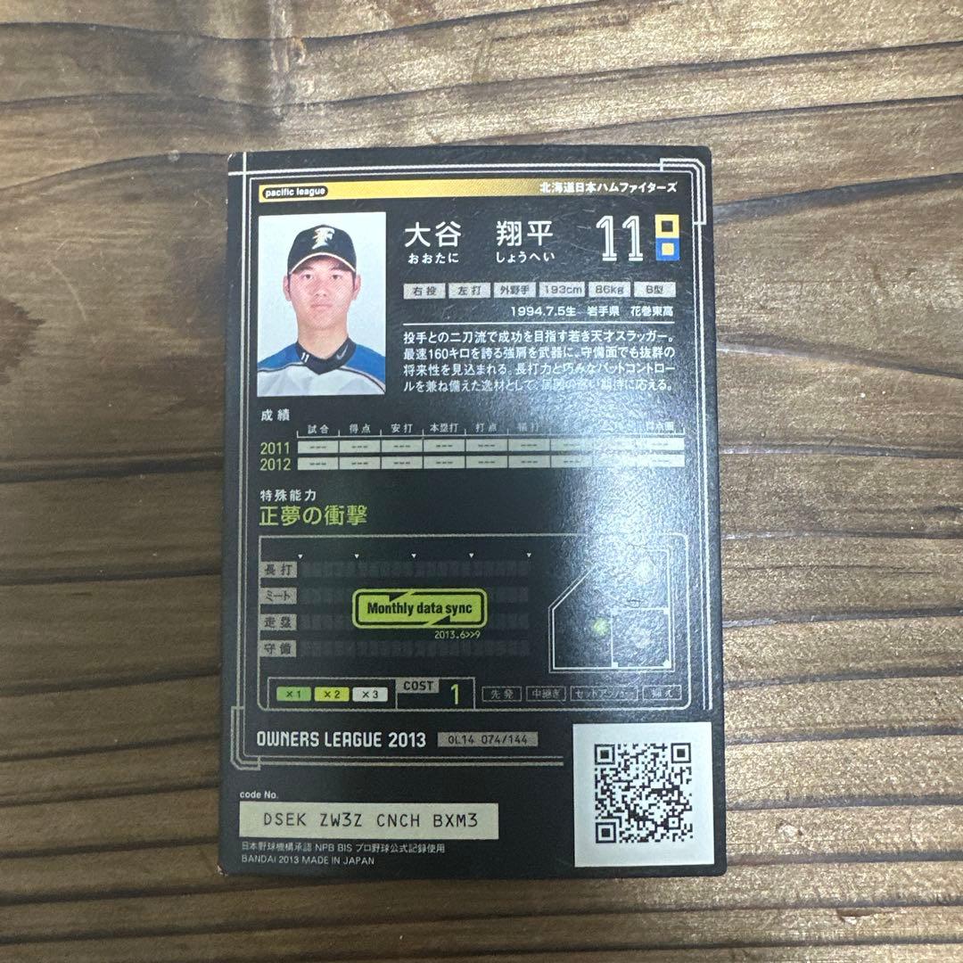 大谷翔平 オーナーズリーグ2013