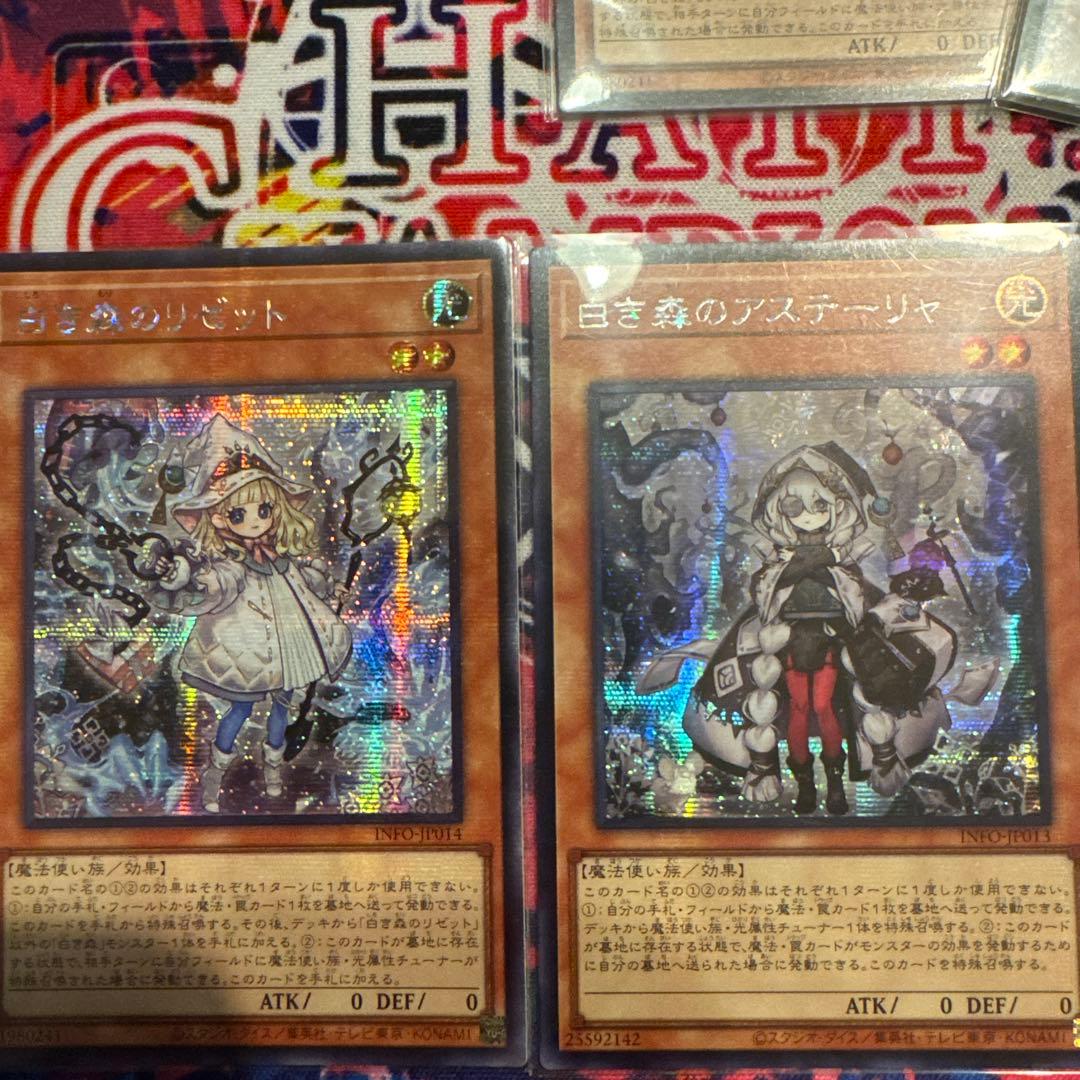 専用　白き森のリゼット3のみ