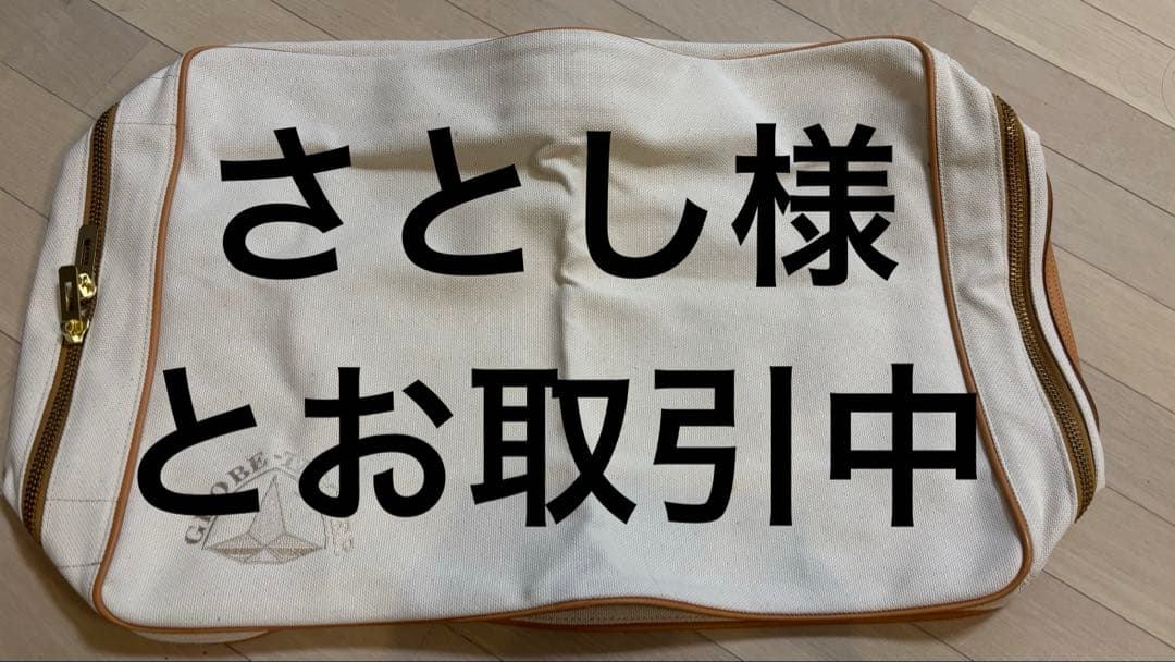 グローブトロッター【純正カバー】