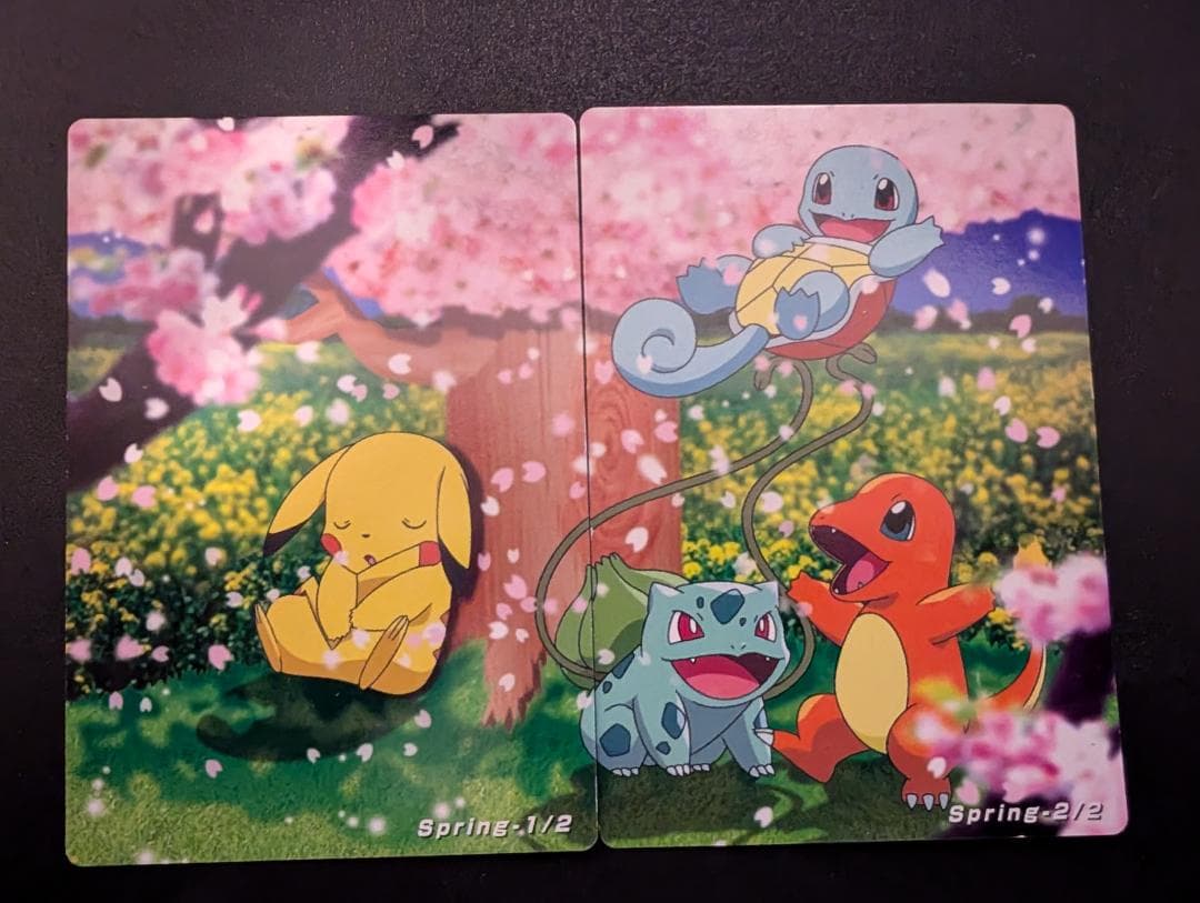 THE POKEMON WEEKLY　Spring1・2