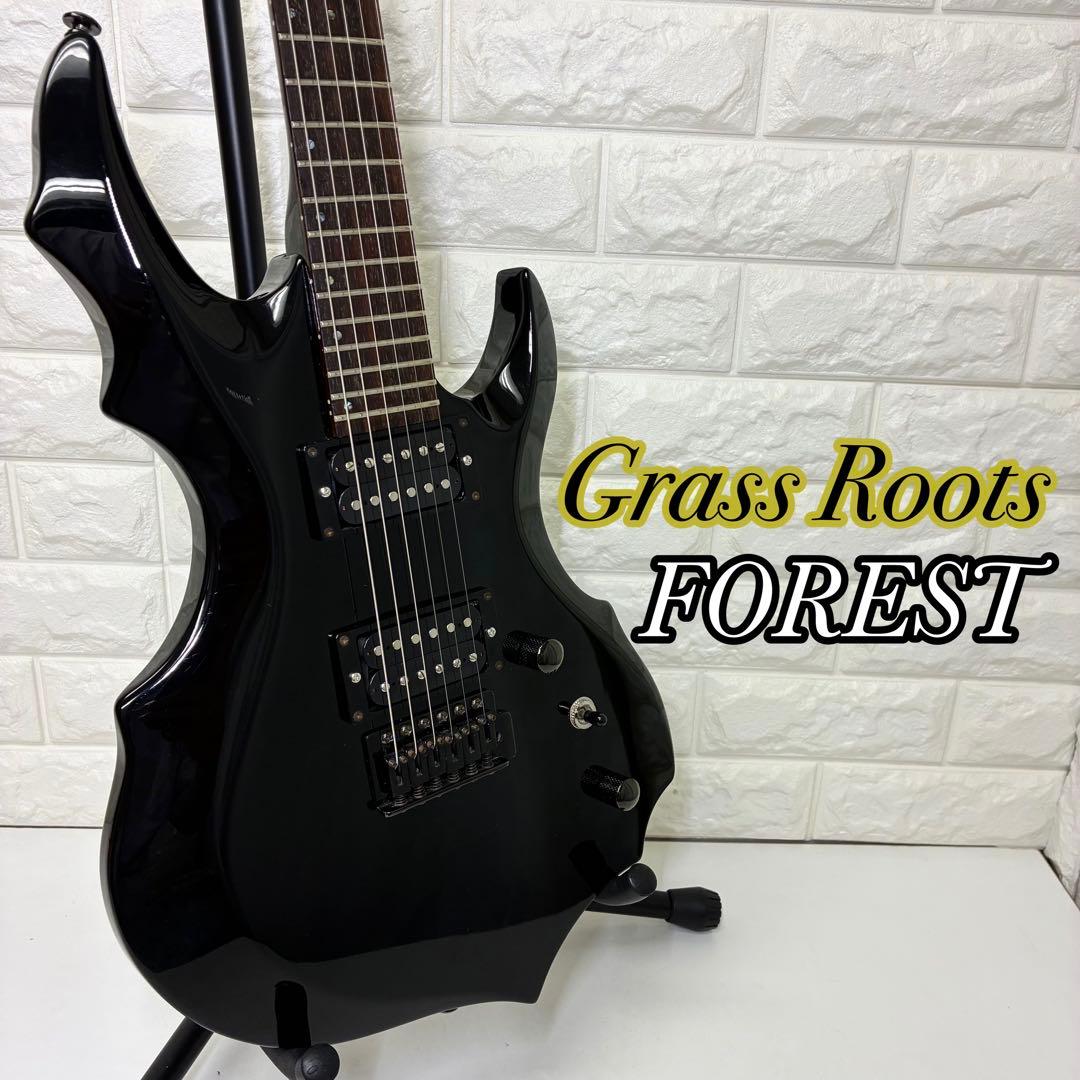 【純也】Grass Roots FOREST グラスルーツ フォレスト