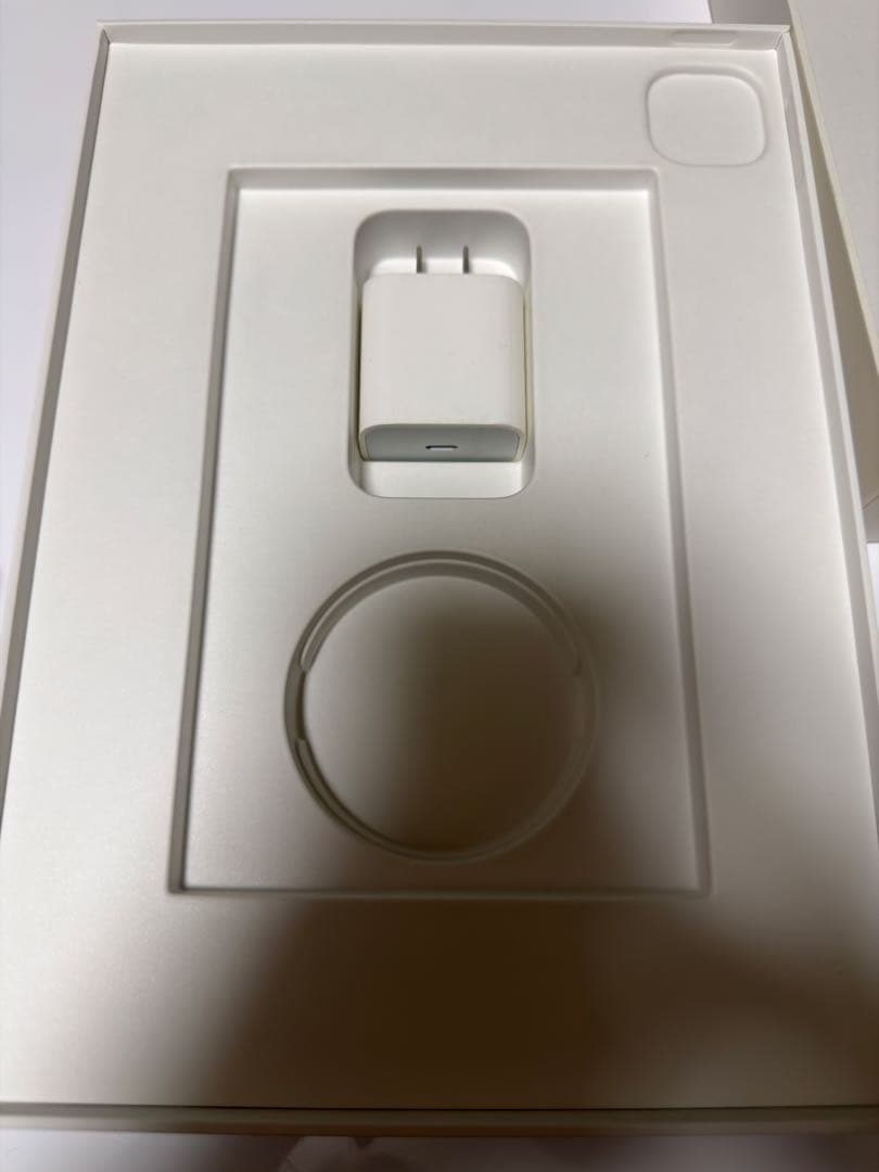 iPad Pro 11インチ Apple Pen Pro 他アクセサリー付き