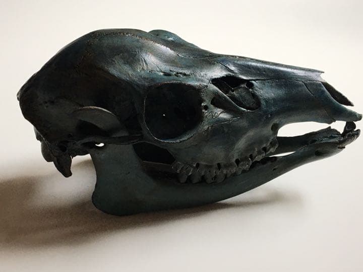 鹿頭蓋骨　頭骨　ブロンズ加工