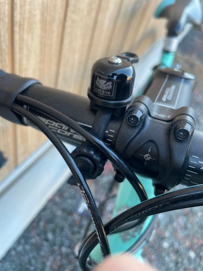 bianchi (ビアンキ) ベルガモ　パンク有り