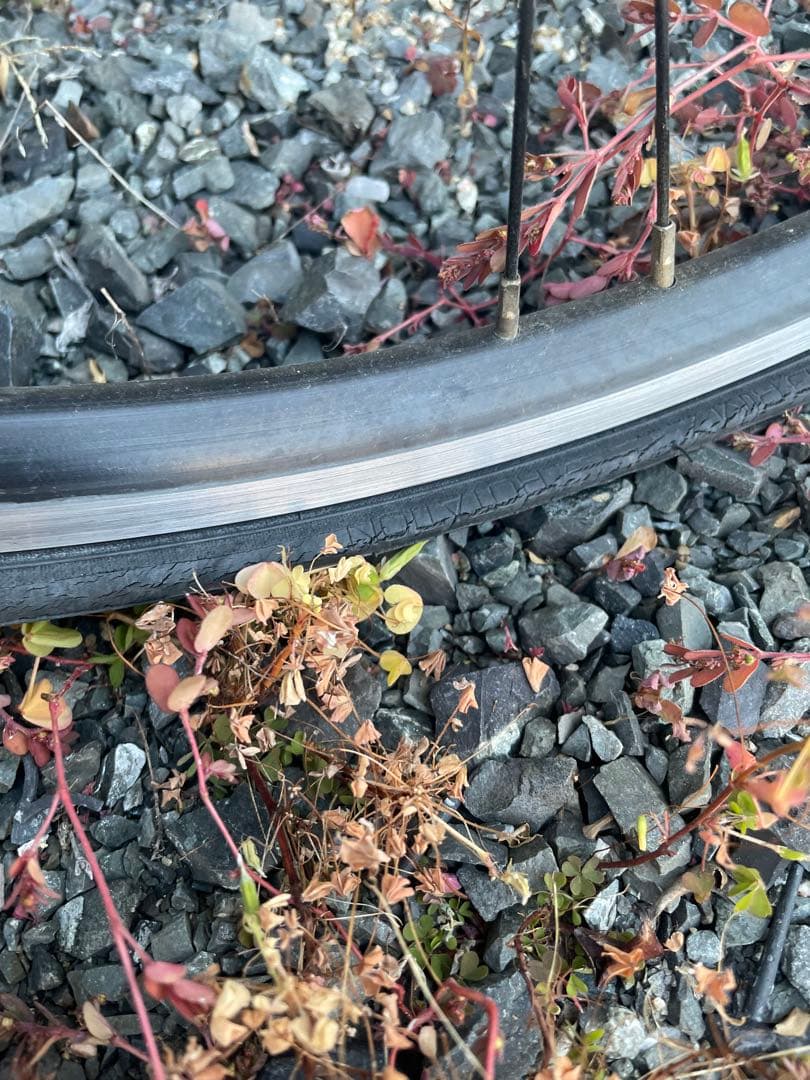 bianchi (ビアンキ) ベルガモ　パンク有り