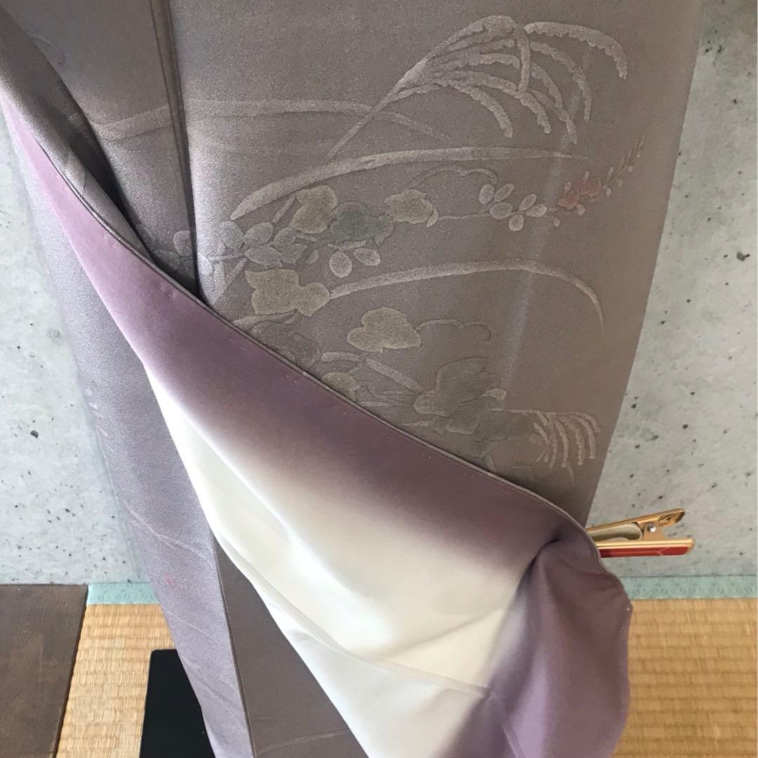 正絹　訪問着　蔓葉薄柄　袷　裄68