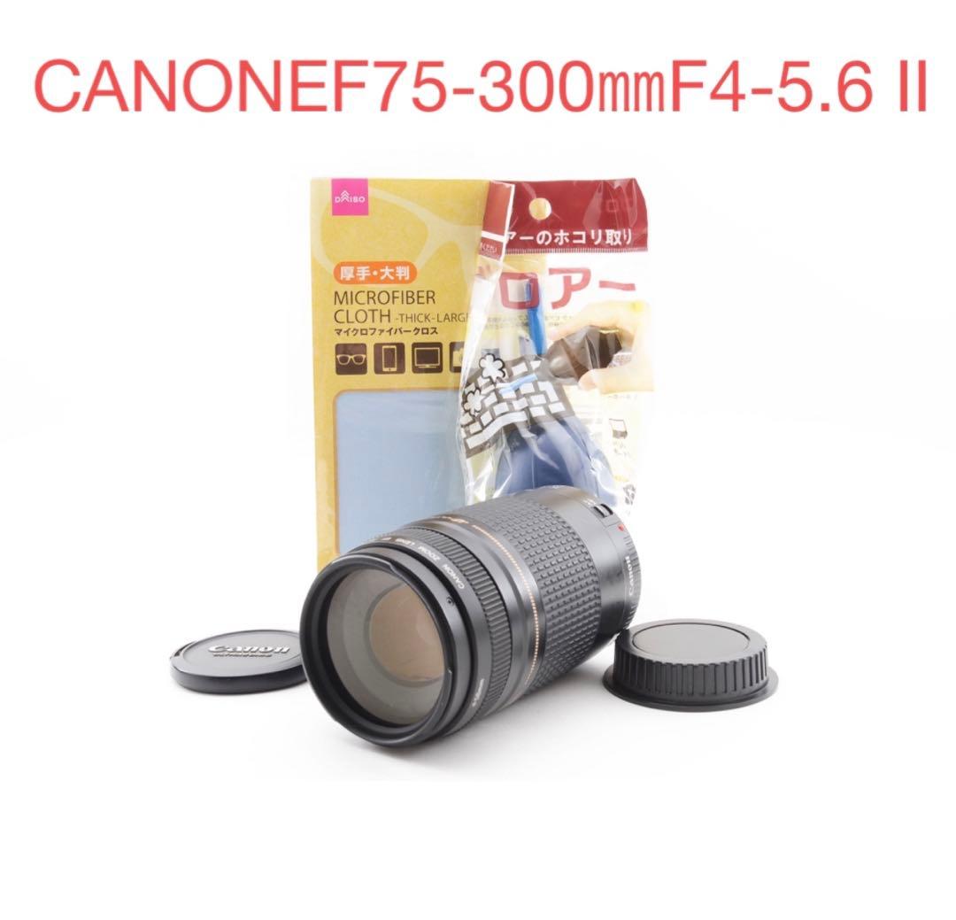 望遠レンズ/付属品付き/CANON EF 75-300㎜ F4-5.6 II