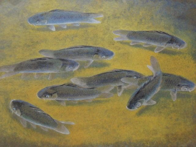 幸野豊一、【游影】、希少な額装用画集より、新品額装付、状態良好