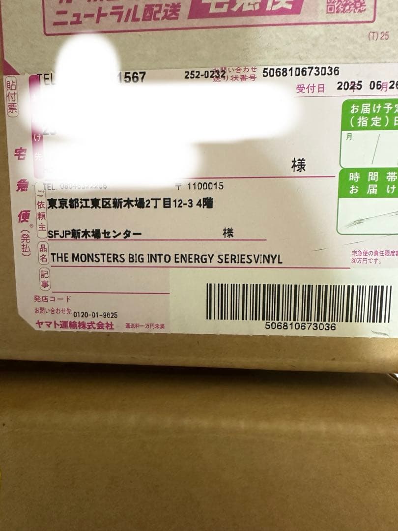 THE MONSTERS Big into Energy ぬいぐるみ アソート