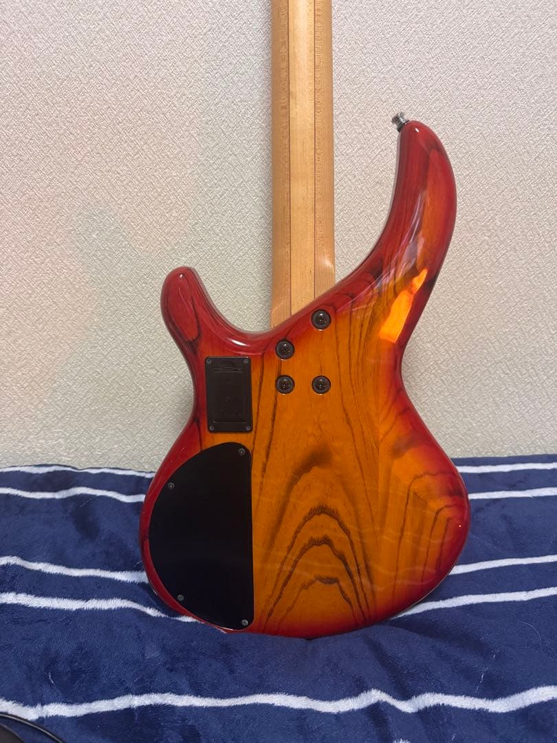 ベース AriaproII IGB-LUX CSBK