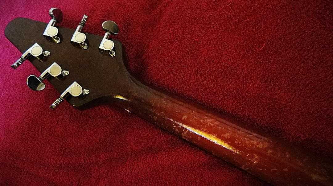 FGV　豪華仕様　オリジナル塗装　コイルタップBL　ビブラートUN　アルニコPU