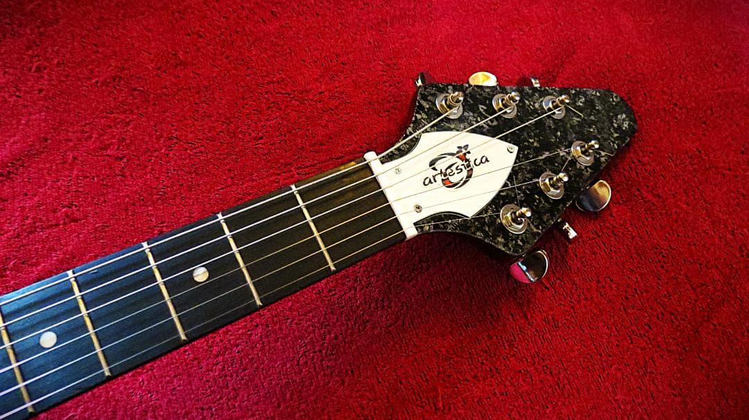 FGV　豪華仕様　オリジナル塗装　コイルタップBL　ビブラートUN　アルニコPU