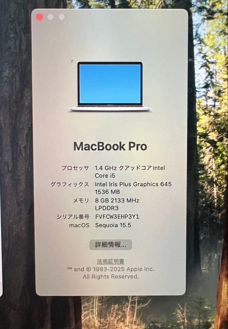 バッテリー100%Apple MacBook Pro 13インチ i5 2020