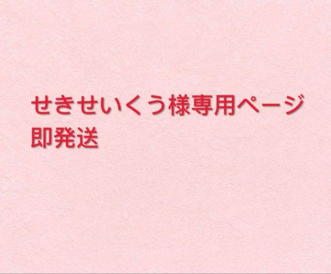 即購入 せきせいくうページ20