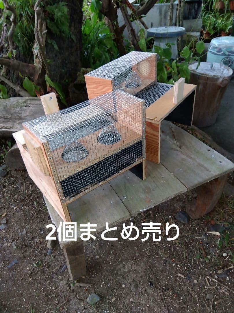 スズメバチトラップ ２個売り