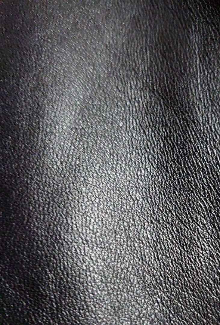 干場義雅 DRESSTERIOR ドレステリア レザーライダース ブラック