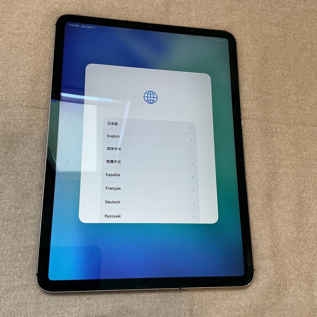 iPad Pro 11inch Wi-Fi+cellular 128GB おまけ