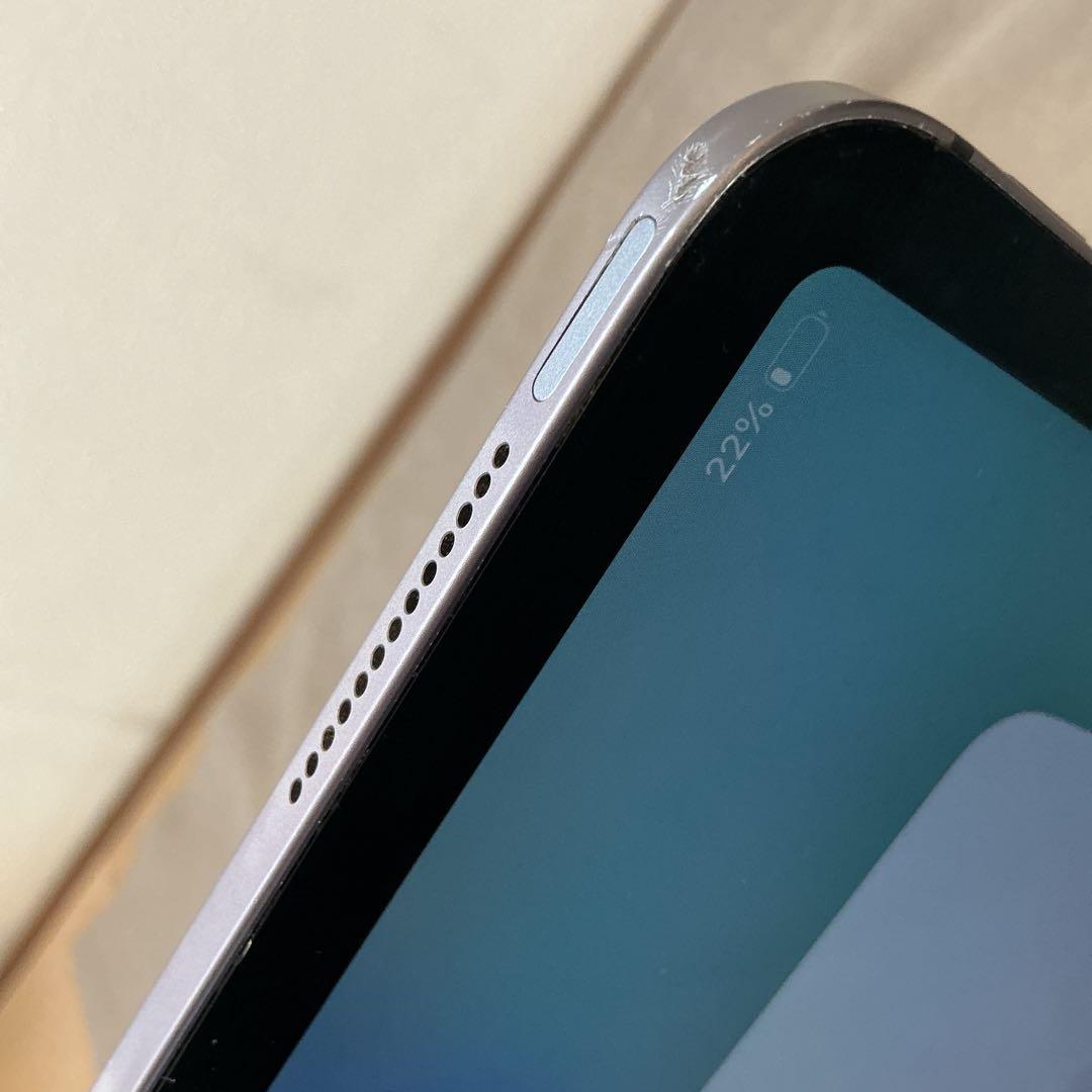 iPad Pro 11inch Wi-Fi+cellular 128GB おまけ