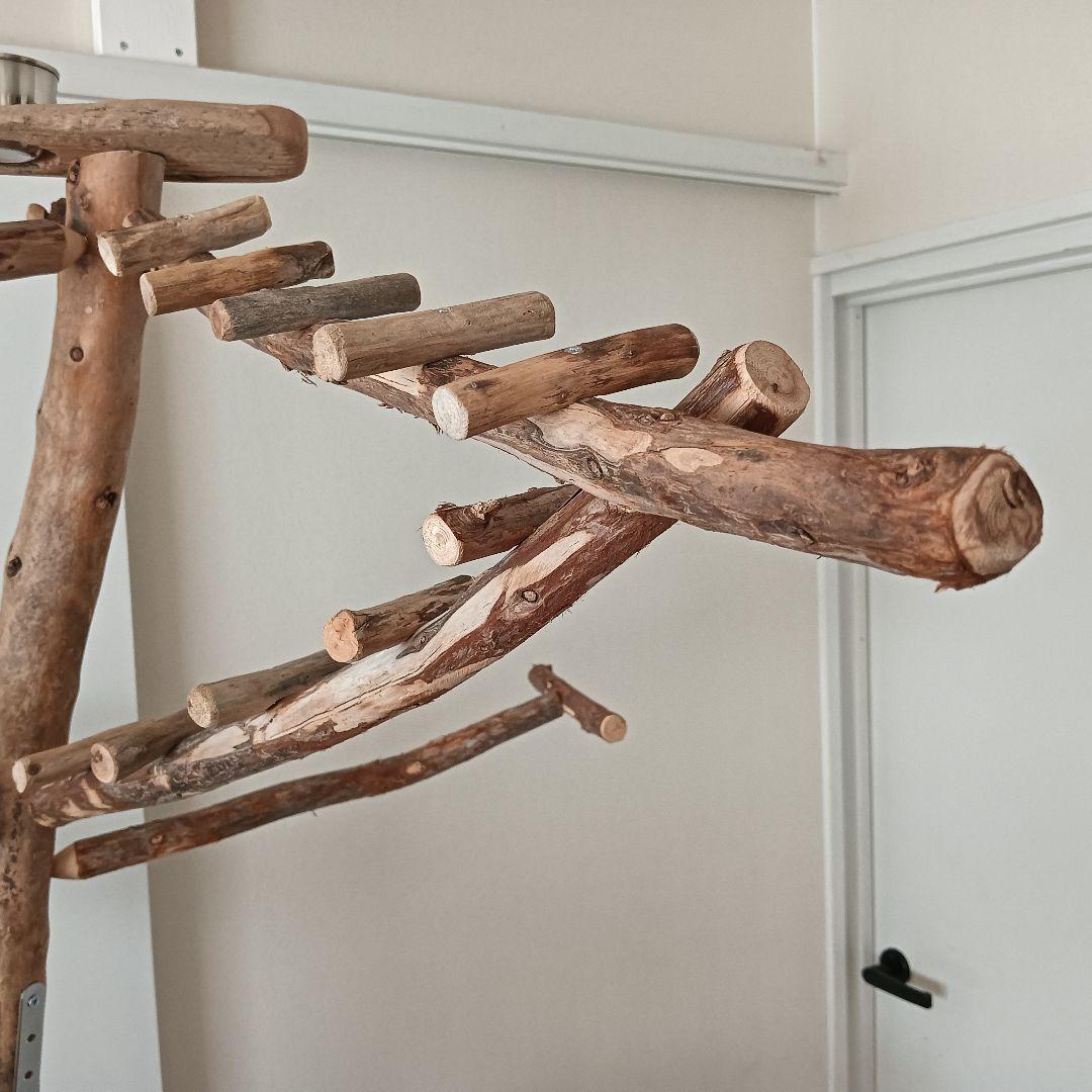 な バードアスレチックジム大型 天然木 自然木 流木 インコ おもちゃ