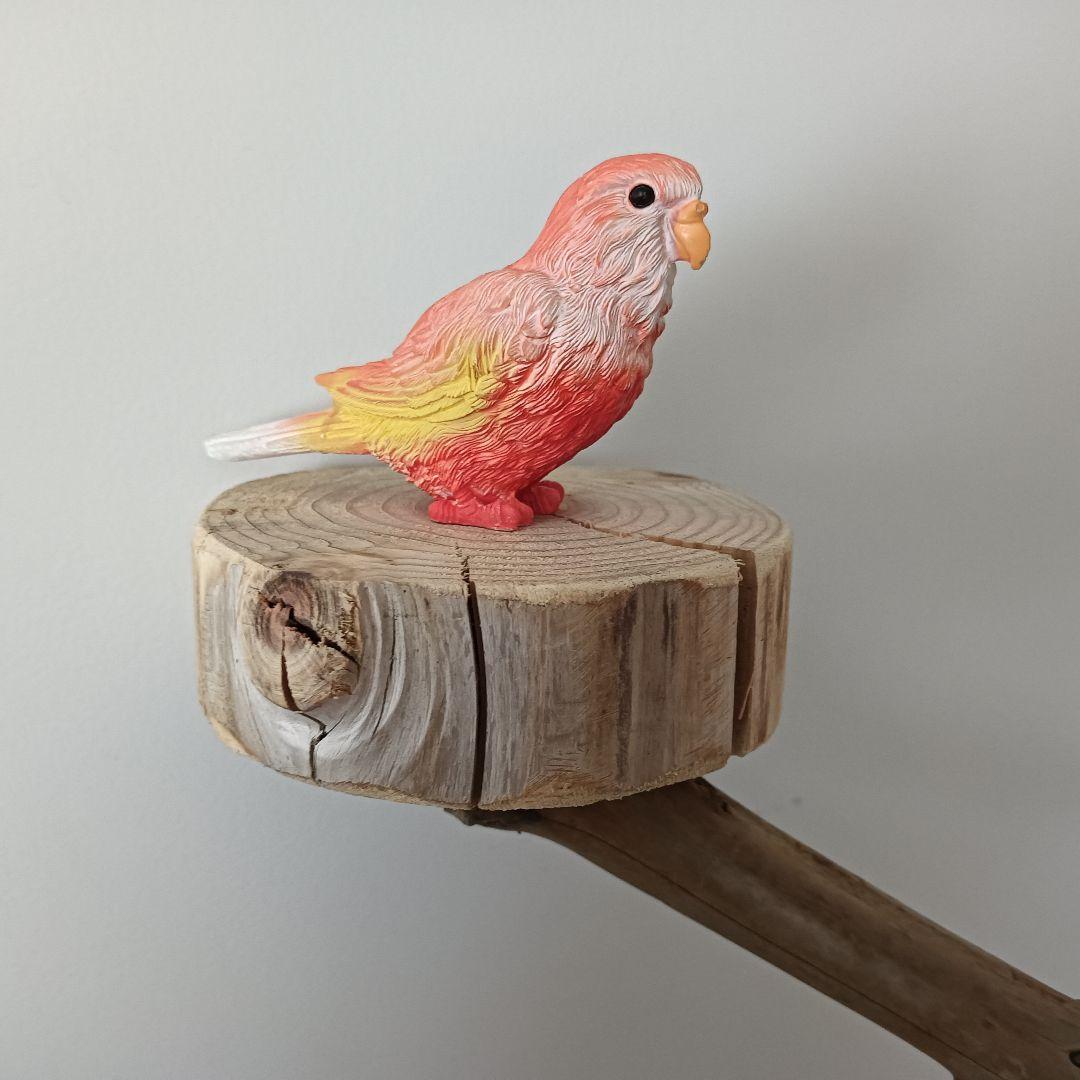 な バードアスレチックジム大型 天然木 自然木 流木 インコ おもちゃ