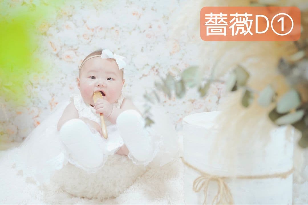 背景布【ぼかしJ】サンプル　ペット撮影用フォトブース　1月　玉ボケ　幻想的